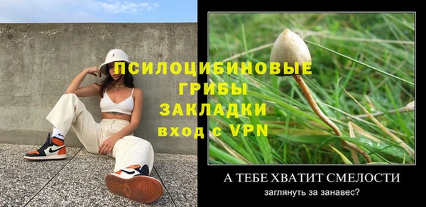 MESCALINE Аркадак