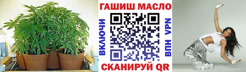 мега зеркало Северская Дистиллят ТГК гашишное масло как найти закладки