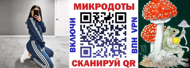 как найти закладки  Северская  Галлюциногенные грибы Magic Shrooms 